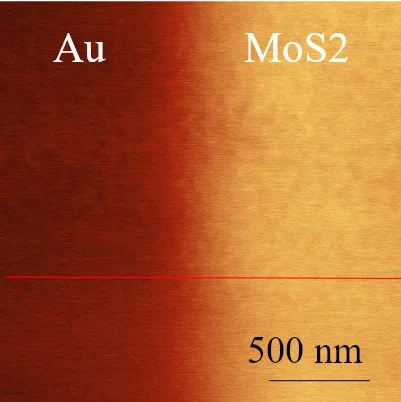 MoS₂–Au 二维材料异质结：界面电势差定量 常规AM-KPFM
