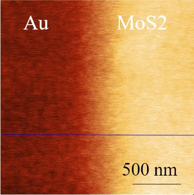 MoS₂–Au 二维材料异质结：界面电势差定量 锁相KPFM