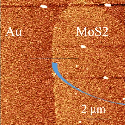 MoS₂–Au 二维材料异质结：界面电势差定量 表面形貌